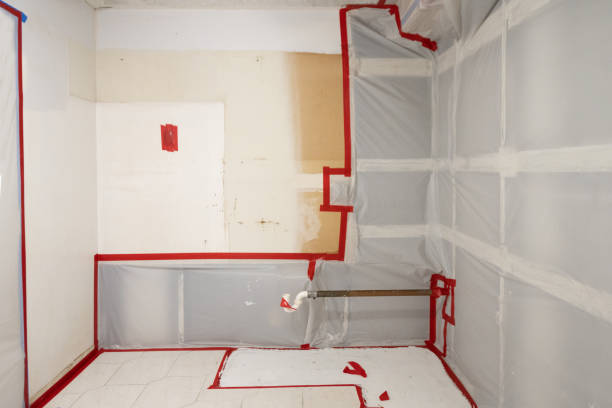 Trusted Newburgh, IN Mold Removal Experts